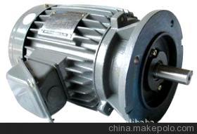 东元TECO三相立式0.75KW 6极电机 性能、应用与供应商全解析